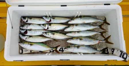 火遠理丸（ほおりまる） 釣果