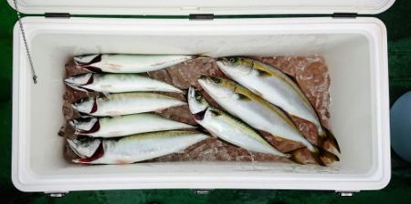 火遠理丸（ほおりまる） 釣果