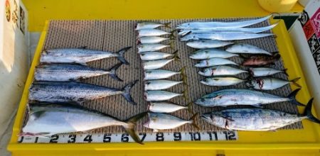 火遠理丸（ほおりまる） 釣果