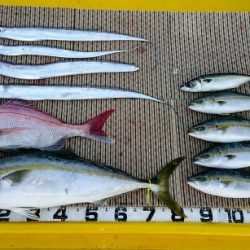 火遠理丸（ほおりまる） 釣果