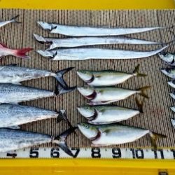 火遠理丸（ほおりまる） 釣果