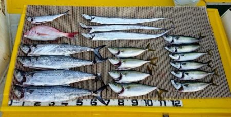 火遠理丸（ほおりまる） 釣果