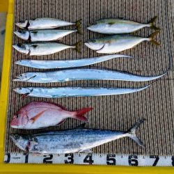 火遠理丸（ほおりまる） 釣果