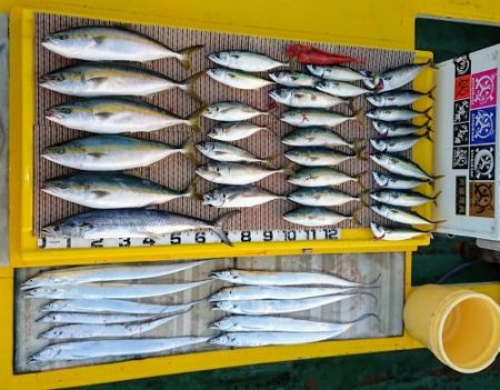 火遠理丸（ほおりまる） 釣果