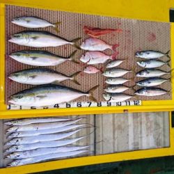 火遠理丸（ほおりまる） 釣果