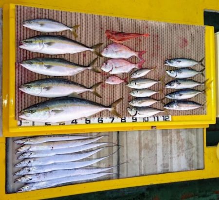 火遠理丸（ほおりまる） 釣果