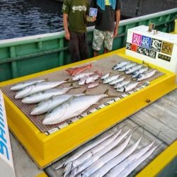 火遠理丸（ほおりまる） 釣果