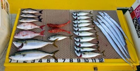 火遠理丸（ほおりまる） 釣果