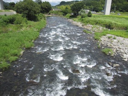 狩野川(狩野川漁業協同組合) 釣果