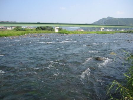 狩野川（狩野川漁業協同組合） 釣果