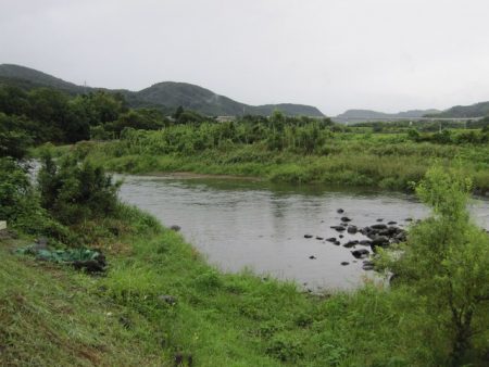 狩野川(狩野川漁業協同組合) 釣果