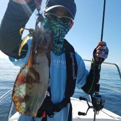 Magic(マジック) 釣果