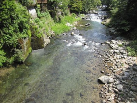狩野川(狩野川漁業協同組合) 釣果