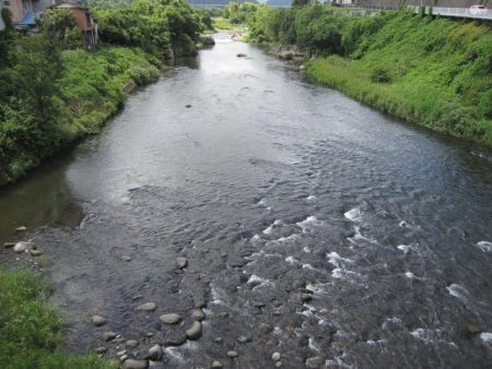 狩野川(狩野川漁業協同組合) 釣果