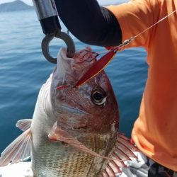 遊漁船 ニライカナイ 釣果