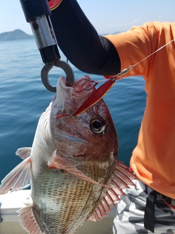 遊漁船 ニライカナイ 釣果