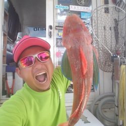 遊漁船　ニライカナイ 釣果