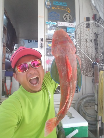 遊漁船　ニライカナイ 釣果