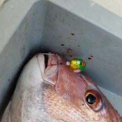 遊漁船 ニライカナイ 釣果