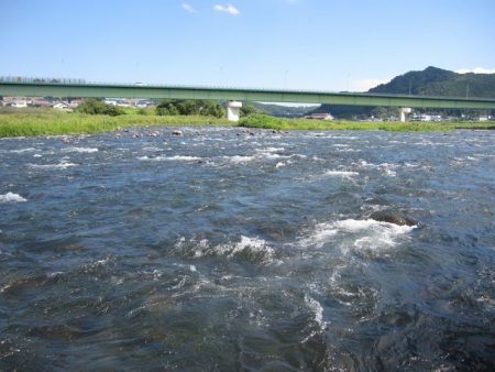 狩野川（狩野川漁業協同組合） 釣果