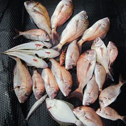 釣吉丸 釣果