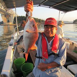 釣吉丸 釣果