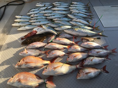 ミタチ丸 釣果