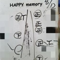 遊漁船 ニライカナイ 釣果