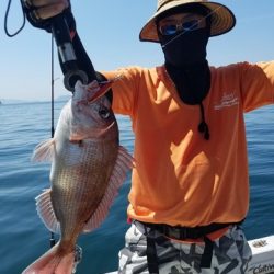 遊漁船 ニライカナイ 釣果