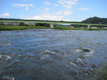 狩野川（狩野川漁業協同組合） 釣果