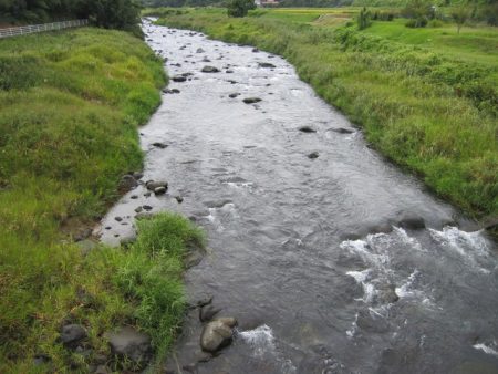 狩野川(狩野川漁業協同組合) 釣果