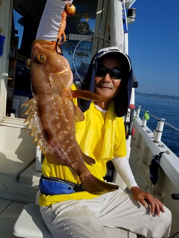 遊漁船　ニライカナイ 釣果