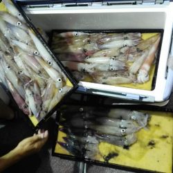 第二大福丸 釣果