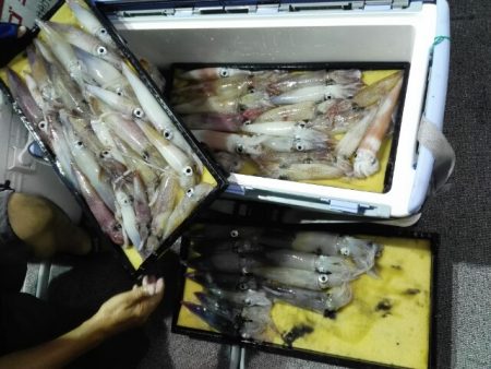 第二大福丸 釣果