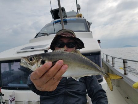 遊漁船 ニライカナイ 釣果