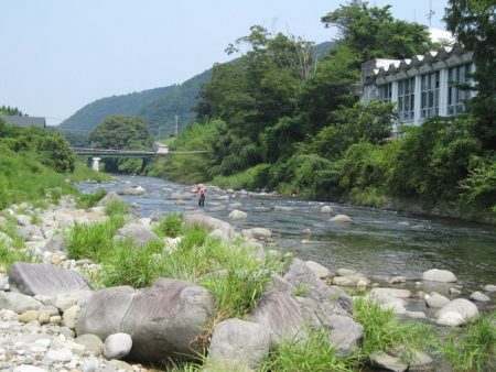 狩野川(狩野川漁業協同組合) 釣果