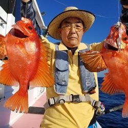 しまや丸 釣果