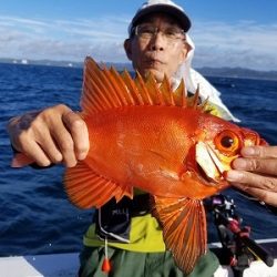 しまや丸 釣果