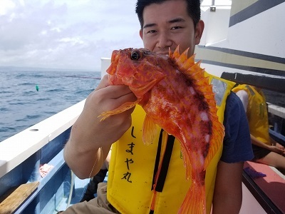 しまや丸 釣果