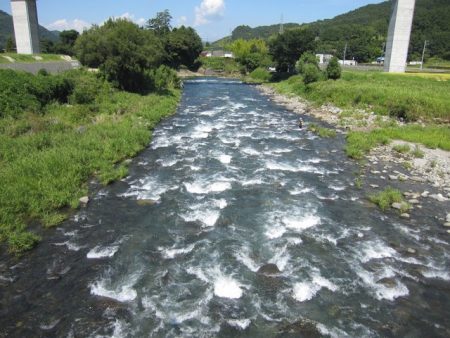 狩野川(狩野川漁業協同組合) 釣果