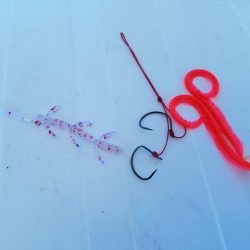 遊漁船 ニライカナイ 釣果