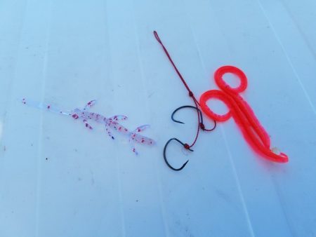 遊漁船 ニライカナイ 釣果