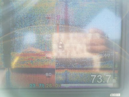 遊漁船　ニライカナイ 釣果