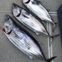 へいみつ丸 釣果