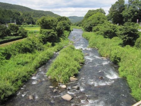 狩野川(狩野川漁業協同組合) 釣果