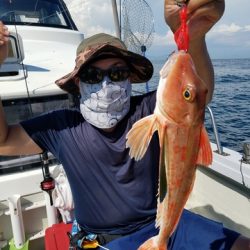 遊漁船 ニライカナイ 釣果