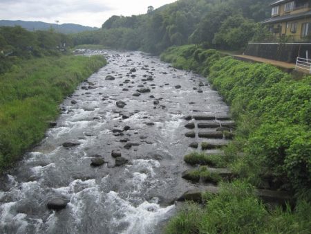 狩野川(狩野川漁業協同組合) 釣果