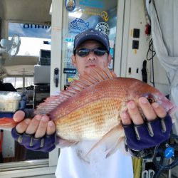 遊漁船 ニライカナイ 釣果