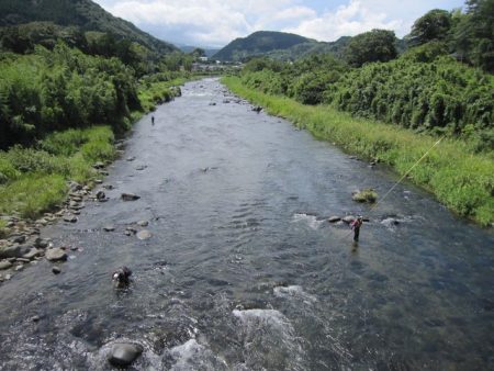 狩野川(狩野川漁業協同組合) 釣果