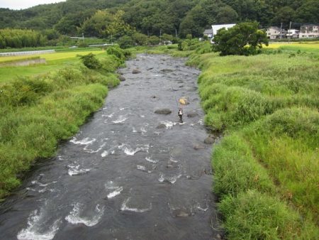 狩野川(狩野川漁業協同組合) 釣果